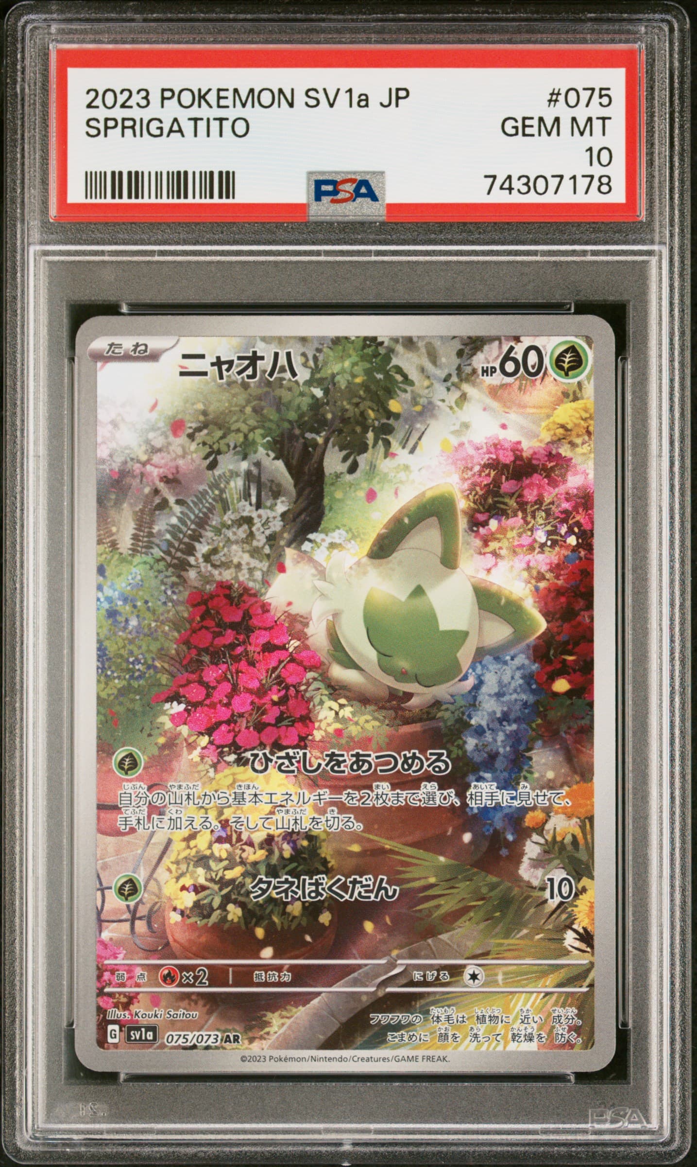 SPRIGATITO - ART RARE · PSA GEM MT 10