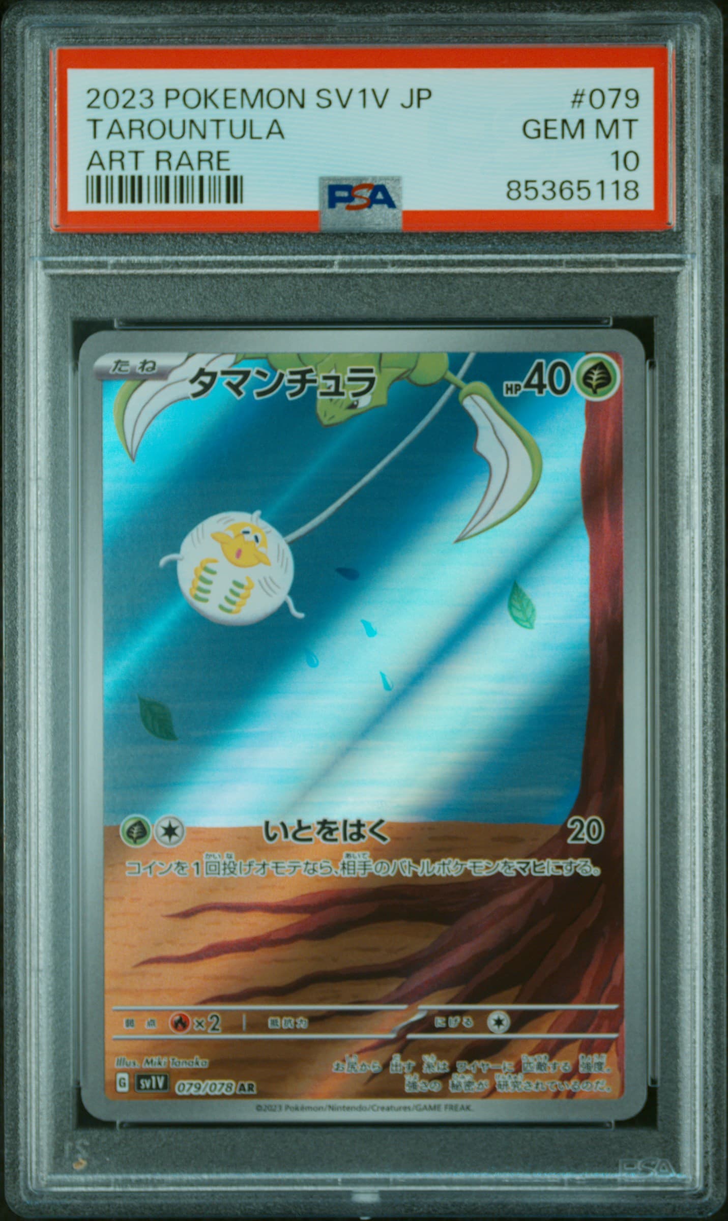 TAROUNTULA - ART RARE · PSA GEM MT 10